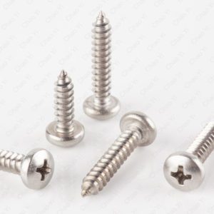 Stainless Steel Screws & Bolts